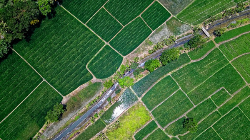 SOLUCIONES AGRÌCOLAS imagen